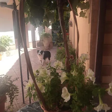 A Casa Di Gesue *